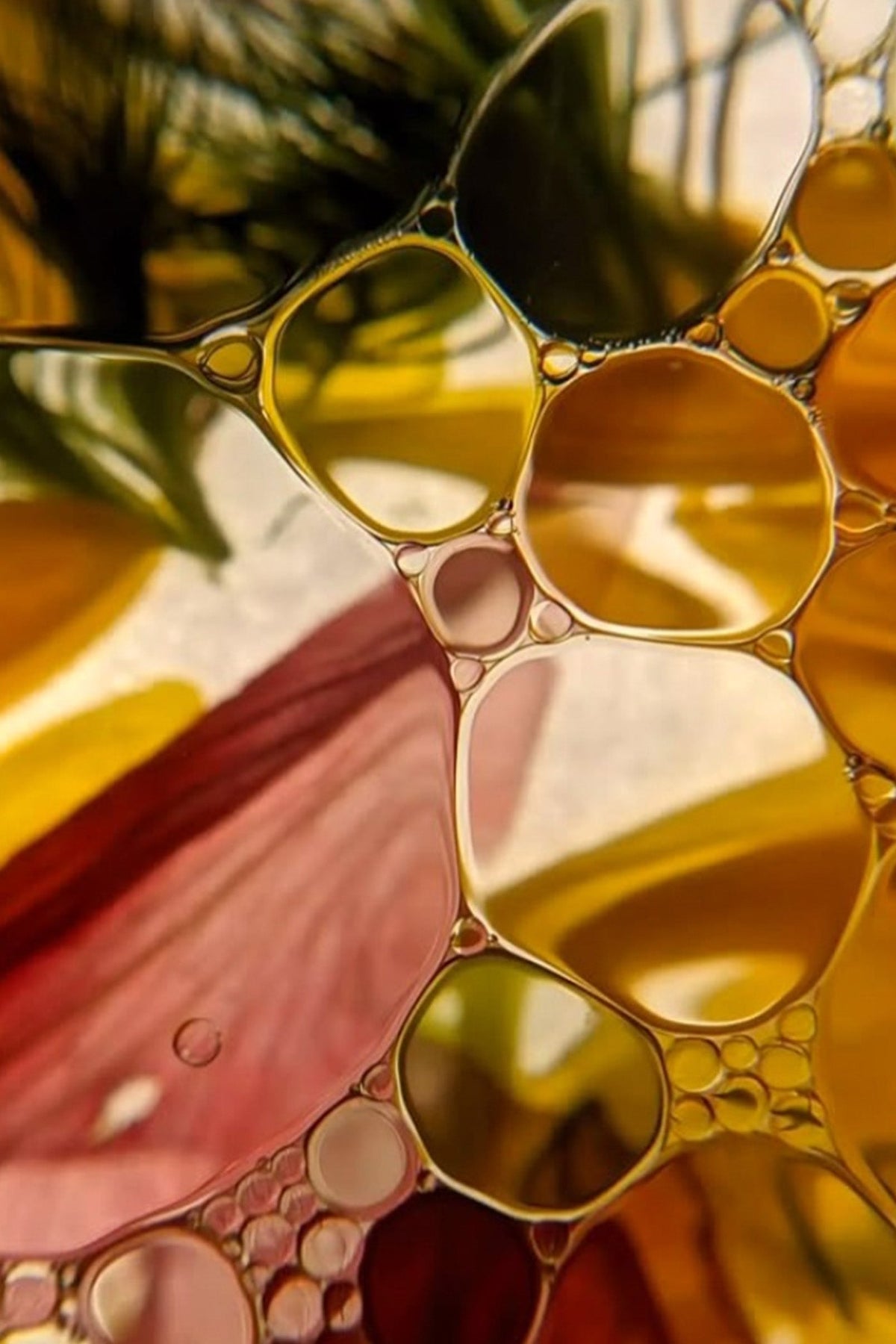 Understanding the Science Behind Hair Growth