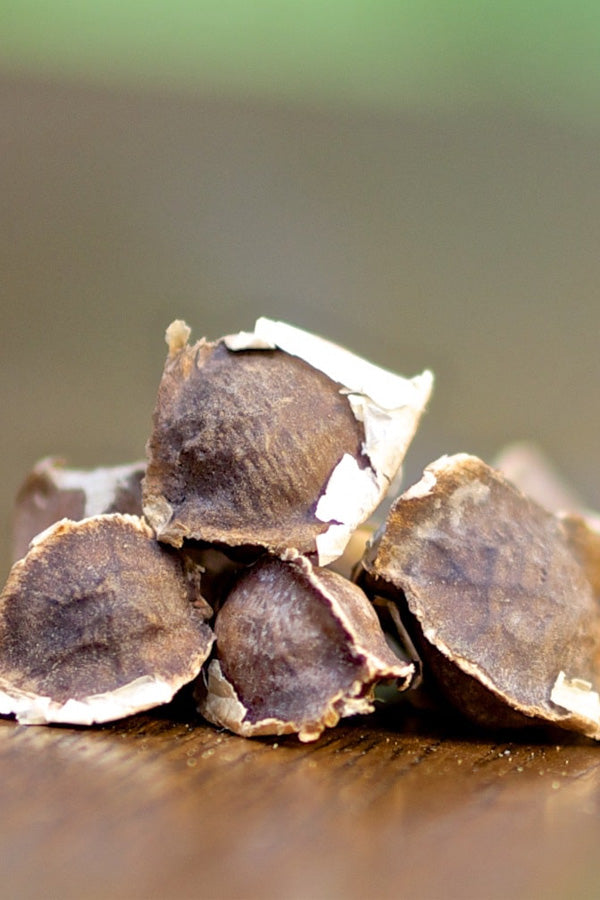 Natural Remedies for Hair Loss: The Power of Asta’s Ingredients